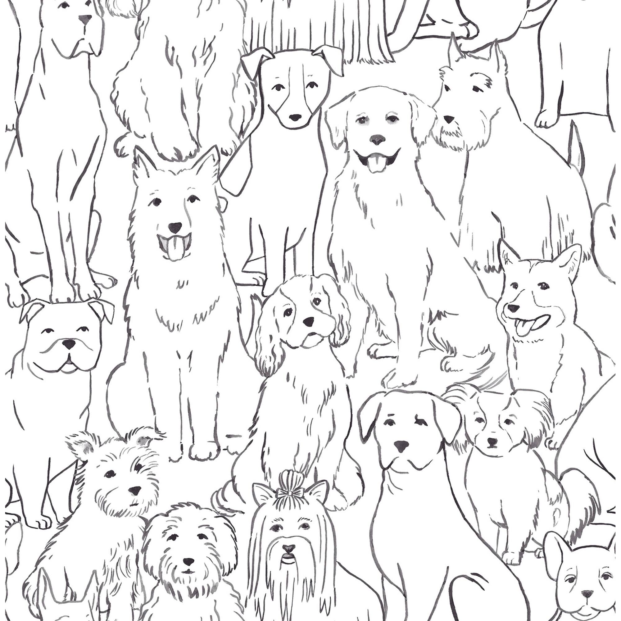 Wallpaper Black & White Paws On Peel & Stick Wallpaper